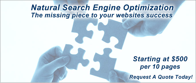 natural search engine optimization