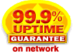 Ninety-nine percent uptime guarantee on our Website Hosting Network